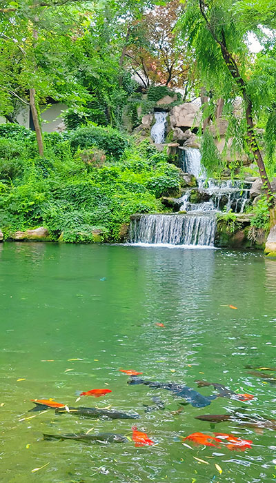 山东旅游景区