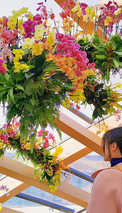 太原植物园(山西4A级景区)