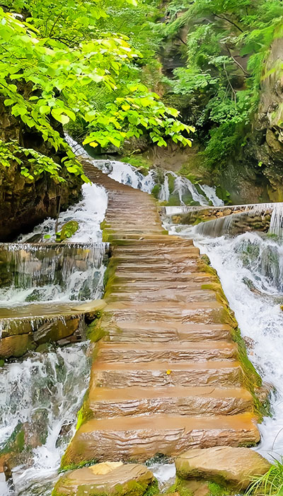 王府竹海度假旅游区