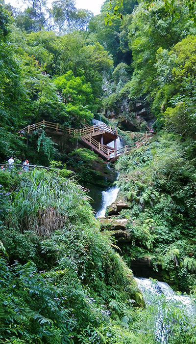 碧峰峡景区(四川4A级景区)