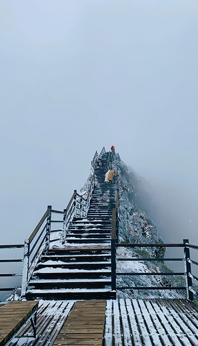 轿子雪山